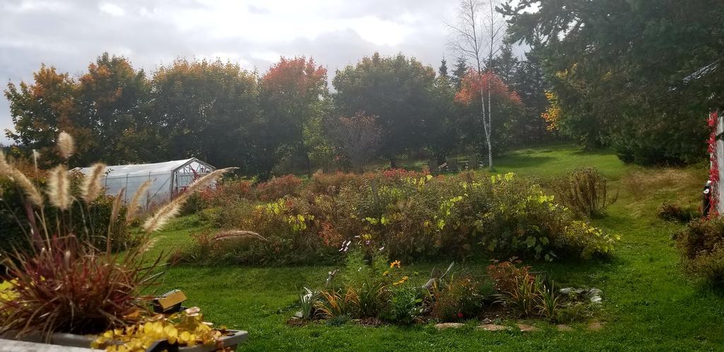 Gite Aux Jardins De L'Anse 페르세 외부 사진