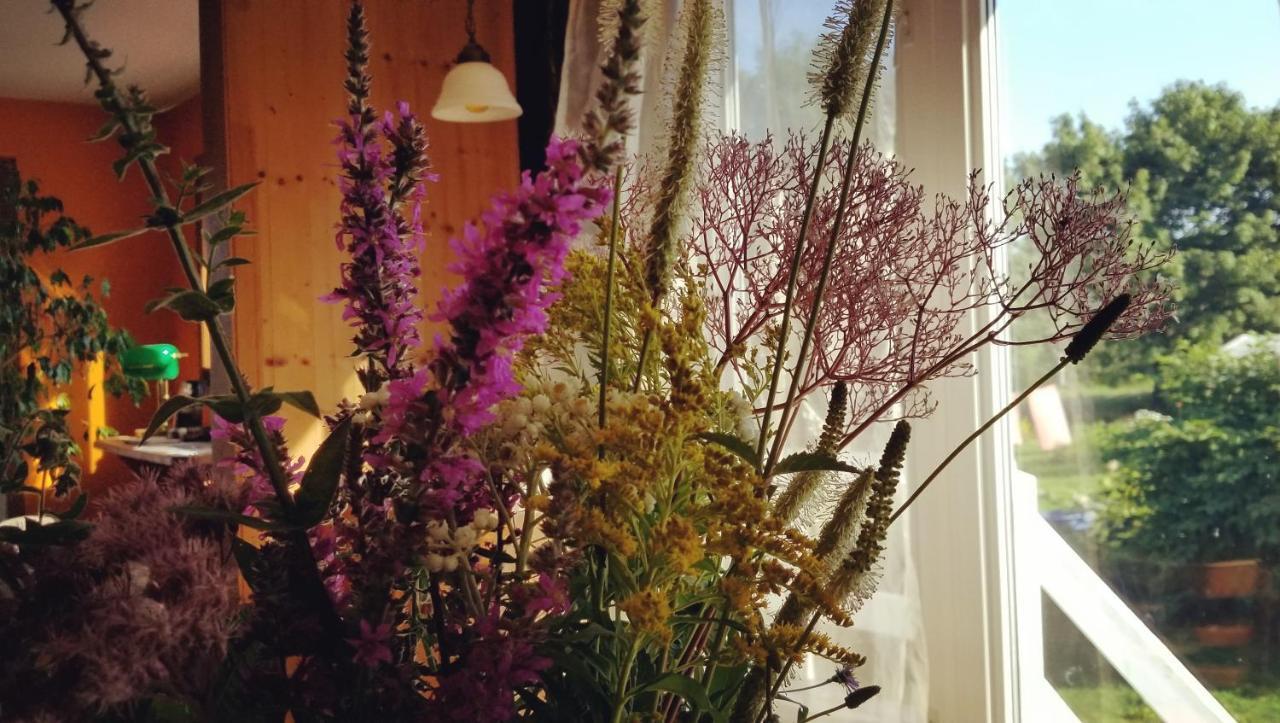 Gite Aux Jardins De L'Anse 페르세 외부 사진